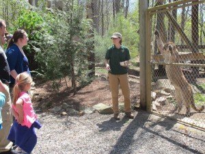 Wild Walk: Guided Tour with Behind the Scenes Access @ WNC Nature Center | Asheville | North Carolina | United States