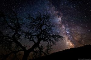 Astronomy for Everyone @ Paddy's Creek Area of Lake James State Park | Nebo | North Carolina | United States