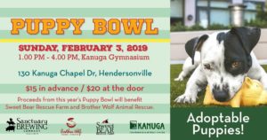 Puppy Bowl 2019! @ Kanuga  | Hendersonville | North Carolina | United States