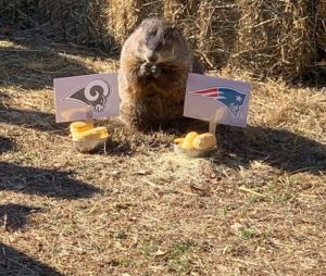 15th Annual Groundhog Day Celebration @ Chimney Rock at Chimney Rock State Park | Chimney Rock | North Carolina | United States