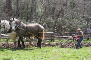 Opening Day Celebration: Old Time Plowing & Folkways @ Cradle of Forestry - Historic Site & Discovery Center | Pisgah Forest | North Carolina | United States