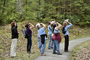 International Migratory Bird Day Celebration @ Cradle of Forestry - Historic Site & Discovery Center  | Pisgah Forest | North Carolina | United States