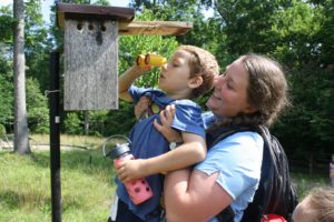 Great Backyard Bird Count @ The North Carolina Arboretum | Asheville | North Carolina | United States