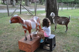 Jump Into the Park - A Family Fun Day @ Carl Sandburg Home National Historic Site | Flat Rock | North Carolina | United States