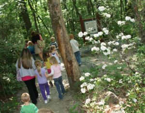 Naturalist Niche Series: Spring Wildflowers @ Chimney Rock at Chimney Rock State Park | Chimney Rock | North Carolina | United States