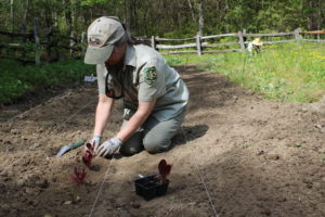 Garden Day @ Cradle of Forestry - Historic Site & Discovery Center  | Pisgah Forest | North Carolina | United States