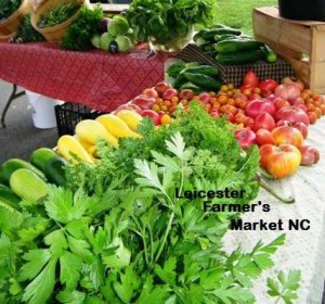 Leicester Farmer's Market NC @ Parking lot of Leicester Landing Shopping Center | Asheville | North Carolina | United States