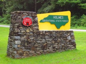 FREE Ranger Led Hike @ Holmes Educational State Forest | Hendersonville | North Carolina | United States