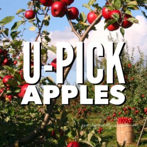 Apple Picking and Orchard Fun @ in the Asheville Area