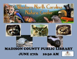 WNC Nature Center at the Library @ Marshall Public Library | Marshall | North Carolina | United States