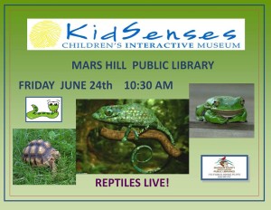 KidSenses: Reptiles Live @ Mars Hill Public Library | Mars Hill | North Carolina | United States