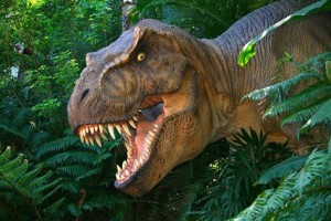 Dino Week! @ Dancing Bear Toys - Asheville | Asheville | North Carolina | United States