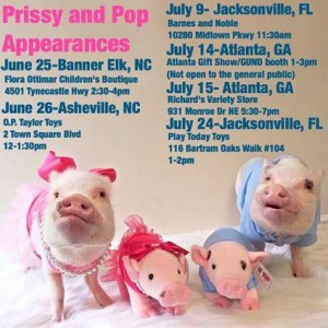 Meet Prissy and Pop! @ O.P. Taylor's in Biltmore Park Town Square | Asheville | North Carolina | United States