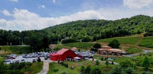 4th of July Celebration-featuring BearWallow @ Linville Falls Winery  | Newland | North Carolina | United States