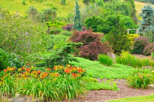 Jack Jarvis Showcase Garden Open House @ Jack Jervis's Home in Mars Hill