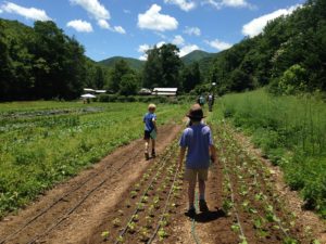 ASAP's 2019 Farm Tour @ Over 20 family farms across the central mountains of WNC in Buncombe, Madison, McDowell, and Rutherford counties. 