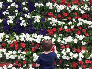 Independence Day Cookout/Picnic @ The North Carolina Arboretum | Asheville | North Carolina | United States