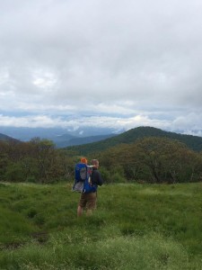 Craggy Gardens Hike @ Craggy Gardens | North Carolina | United States