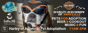 Harley-Davidson of Asheville and Brother Wolf Pet Adoptathon @ Harley-Davidson of Asheville  | Swannanoa | North Carolina | United States