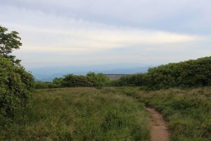 Hike of the Week: "Day Hiking Do's and Don'ts" @ Sleepy Gap Overlook, Arden