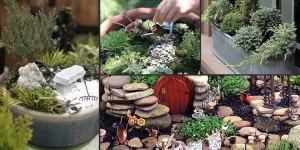 Create Your Own Miniature Garden @ Fifth Season Gardening Co. Asheville Market  | Asheville | North Carolina | United States