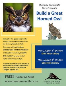 Chimney Rock State Park Presents: Build a Great Horned Owl @ Henderson County Library locations