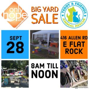 Big Yard Sale @ Only Hope WNC  | East Flat Rock | North Carolina | United States