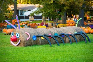 Family Fun Down on the Farm @ Lyda Farms | Hendersonville | North Carolina | United States