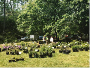 Fall Plant Sale at The Botanic Garden @ Botanical Gardens at Asheville | Asheville | North Carolina | United States