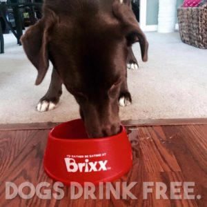 FREE Dog Bowl @ Brixx Wood Fired Pizza Asheville | Asheville | North Carolina | United States