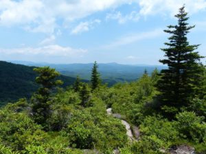 Exploring 100 Years of Grandfather Mountai: A State Park Centennial Celebration @ Grandfather Mountain State Park  | Banner Elk | North Carolina | United States