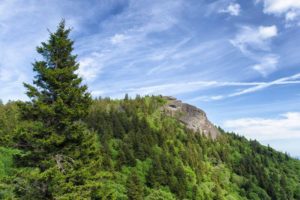 Hike of the Week: Happy Birthday, National Park Service! @ pin Show Map Devil's Courthouse Overlook at MP 424 on the Blue Ridge Parkway