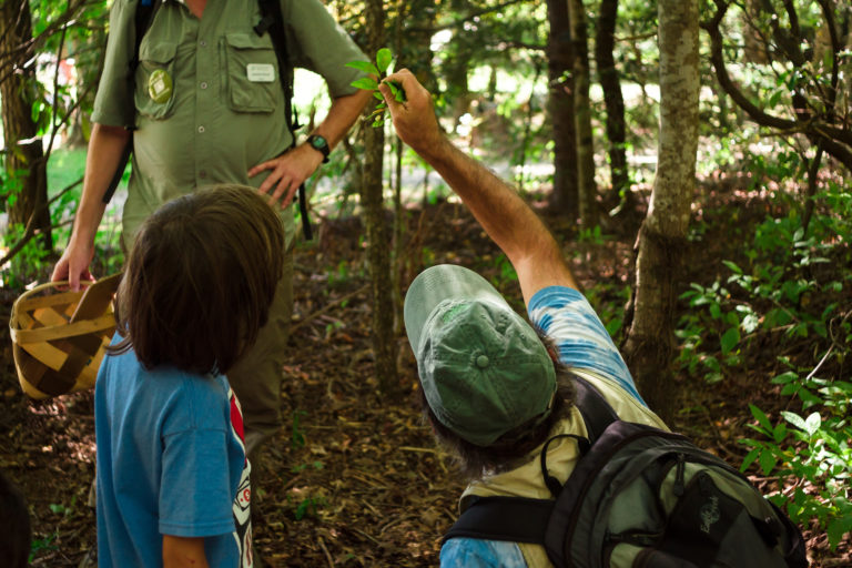 cradle-national-public-lands-day-bioblitz-768x512