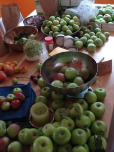 Clinton St Community Orchard Day! @ Vance Elementary School | Asheville | North Carolina | United States