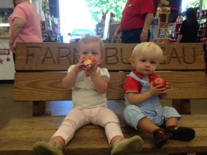 Apple Tasting @ WNC Farmer's Market | Asheville | North Carolina | United States