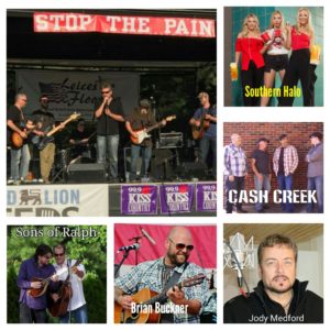 3rd Annual Stop the Pain Concert @ Asheville Outlets | Asheville | North Carolina | United States