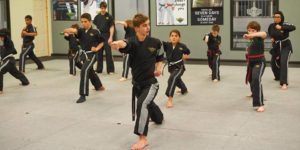 Children's KARATE for CONCENTRATION Beginner's Martial Arts Workshop @ Croley's Premier Martial Arts | Asheville | North Carolina | United States