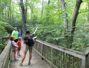 Take A Child Outside Week FREE Guided Hike @ Chimney Rock at Chimney Rock State Park | Chimney Rock | North Carolina | United States