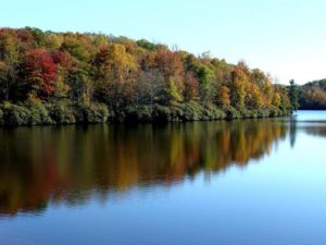 Lake Julian Bird Walk @ Diamond Brand Outdoors  | Asheville | North Carolina | United States