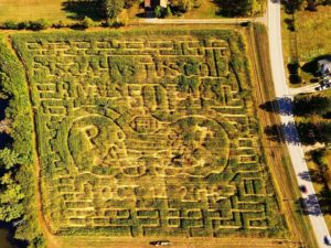 Get Lost in a Corn Maize (Haunted Maize after dusk) @ Cold Mountain Corn Maize | Canton | North Carolina | United States