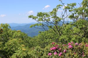 Hike of the Week @ Craggy Pinnacle Trail | Purlear | North Carolina | United States