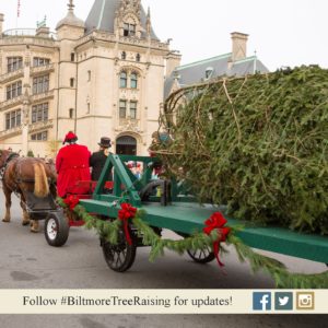 Banquet Hall Tree Raising @ Biltmore  | Asheville | North Carolina | United States