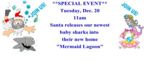 Watch Santa Release Baby Sharks @ Team ECCO Ocean Center & Aquarium | Hendersonville | North Carolina | United States