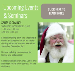 Visit with Santa and Mrs. Claus @ B.B. Barns Garden Company | Arden | North Carolina | United States