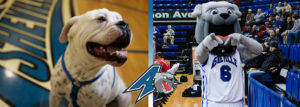 Men's Basketball vs. High Point @ Sherrill Center & Kimmel Arena  | Asheville | North Carolina | United States