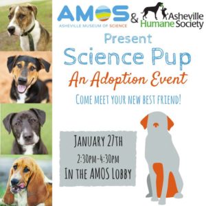 Science Pup Adoption Event! @ Asheville Museum of Science  | Asheville | North Carolina | United States