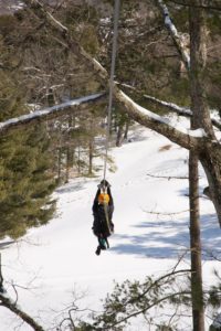 50% off for Locals in January & February @ Asheville Treetops Adventure Park | Asheville | North Carolina | United States