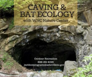 Caving & Bat Ecology @ WNC Nature Center | Asheville | North Carolina | United States