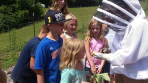 Franny's Farm Camp (7-16yrs) @ Franny's Farm | Leicester | North Carolina | United States