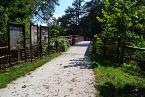 Guided Nature Hike at Fletcher Community Park! @ Fletcher Community Park  | Fletcher | North Carolina | United States